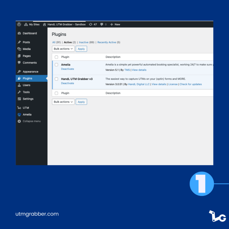 UTM Tracking in Amelia Booking