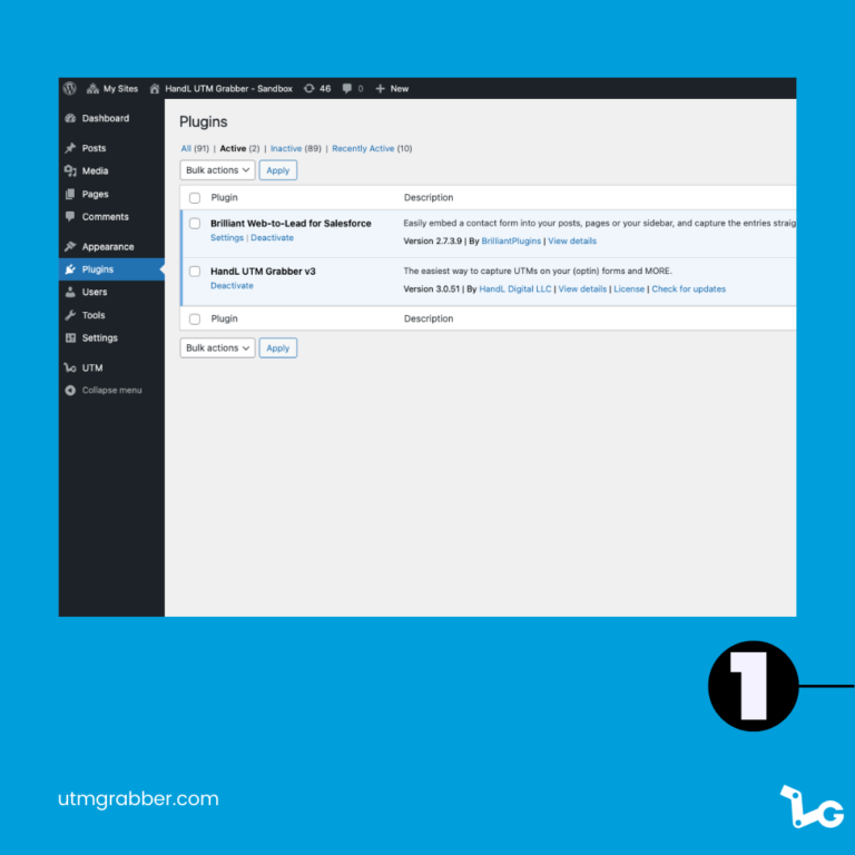 UTM Tracking in Brilliant Web-to-Lead for Salesforce