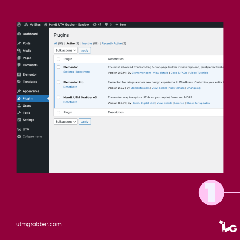 UTM Tracking in Elementor Form