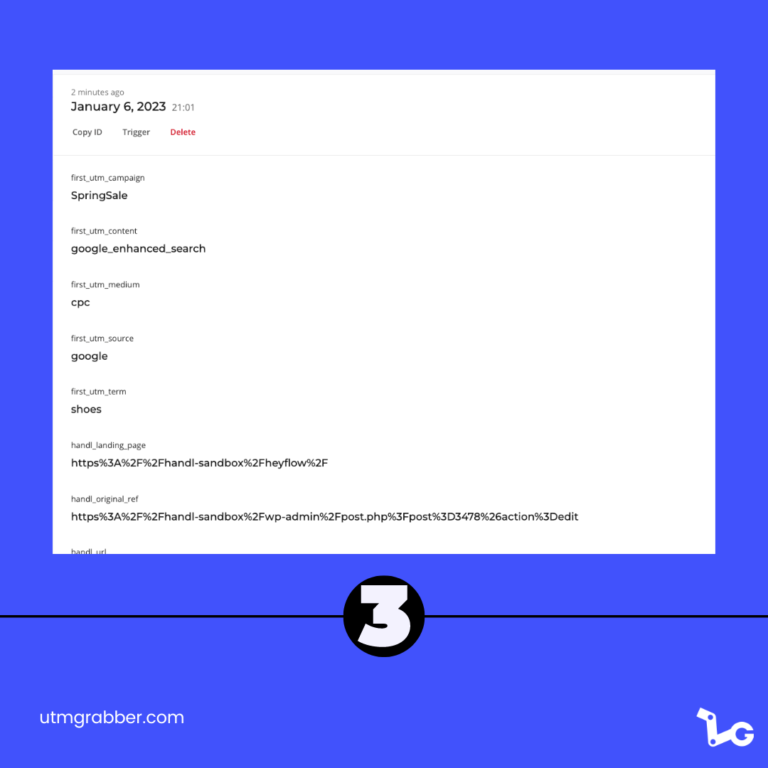 UTM Tracking in Heyflow Interactive Form Builder